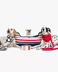 Adventure Stripe Pet Bed