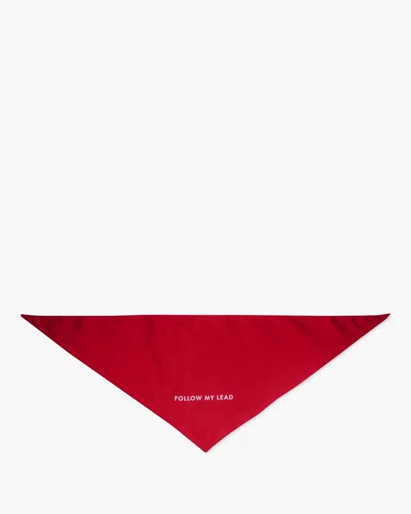 Follow My Lead Colorblock Bandana