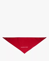 Follow My Lead Colorblock Bandana