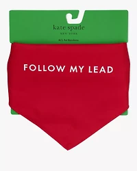 Follow My Lead Colorblock Bandana