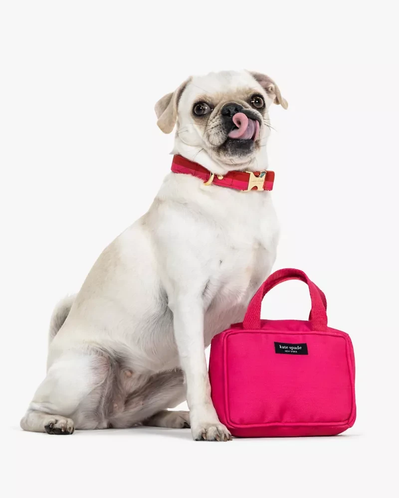 Handbag Pet Toy