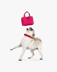 Handbag Pet Toy