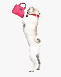 Handbag Pet Toy