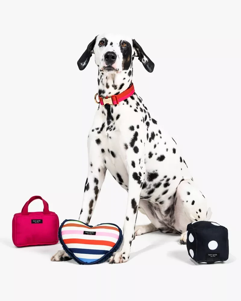 Handbag Pet Toy