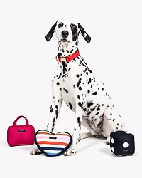 Handbag Pet Toy