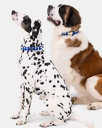 Navy Gingham Collar M/L