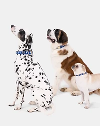 Navy Gingham Collar M/L