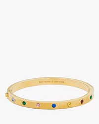 Set In Stone Hinged Bangle