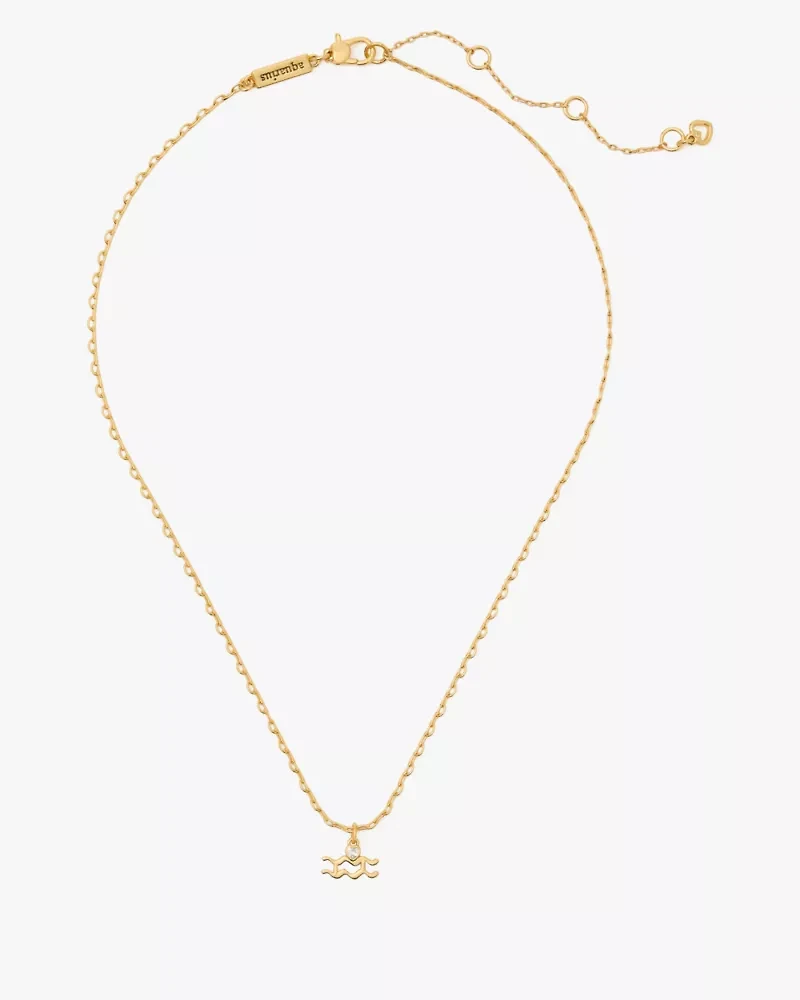 What's Your Sign Aquarius Mini Pendant