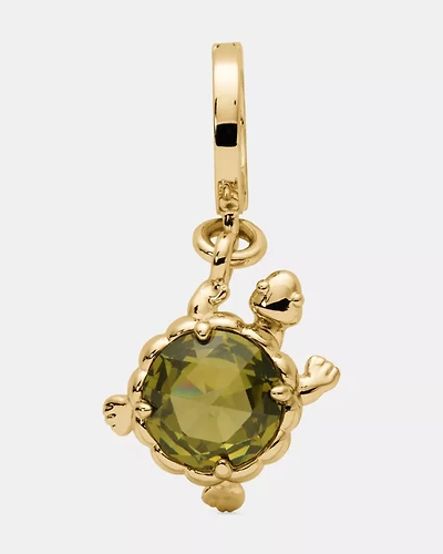 One In A Million Turtle Charm