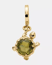 One In A Million Turtle Charm