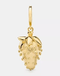 One In A Million Strawberry Charm