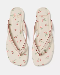 Sandie Flip Flop Sandal
