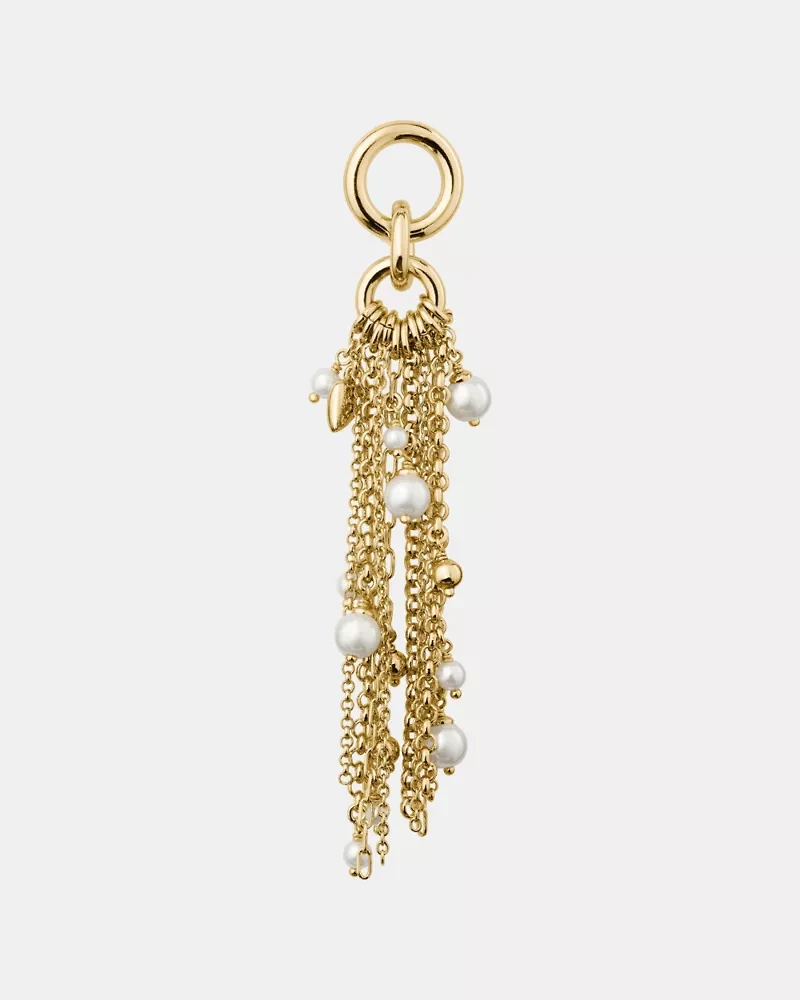 Chain Reaction Tassel Earrings