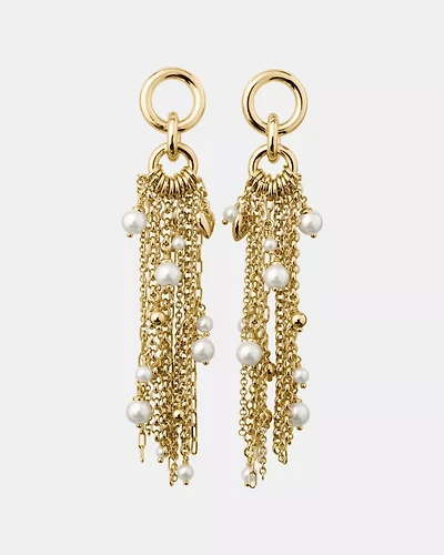 Chain Reaction Tassel Earrings