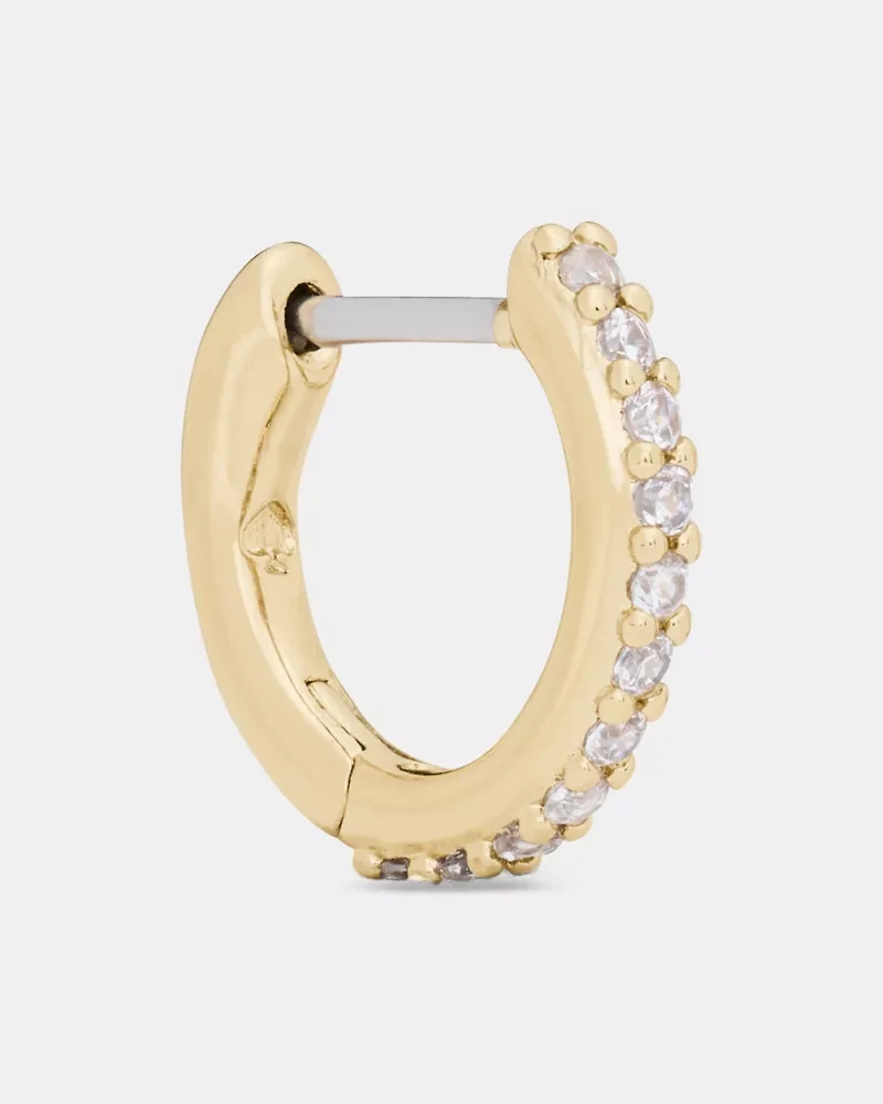 Brilliant Statements Pavé Mini Huggies