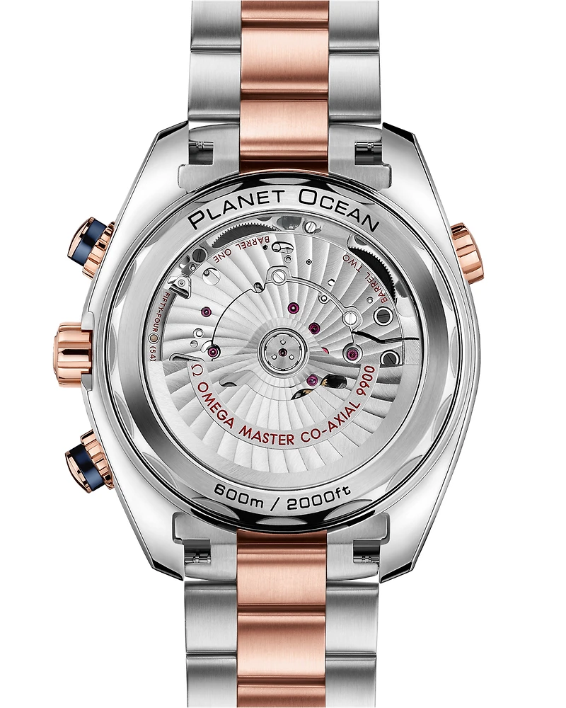 Shop seamaster planet ocean 600m chronograph in Canada | La Maison Monaco