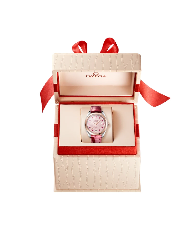Shop seamaster aqua terra 150m in Canada | La Maison Monaco