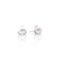 Shop embrace akoya pearl earrings in 18k white gold in Canada | La Maison Monaco