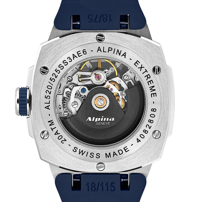 ALPINER EXTREME SKELETON