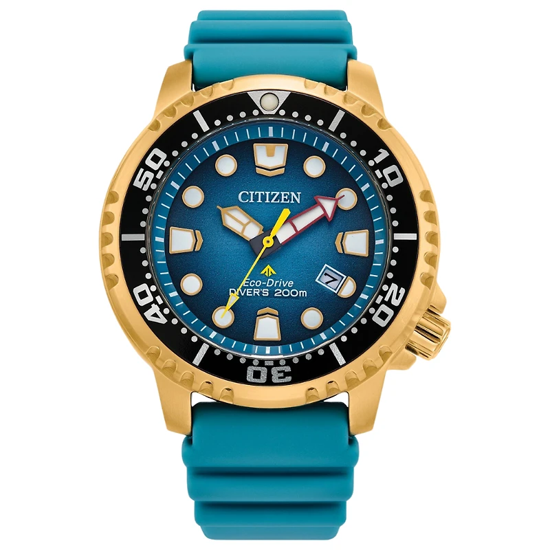 PROMASTER DIVE 42MM