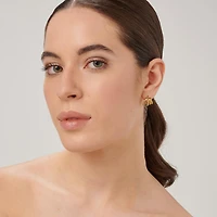 316L steel earrings