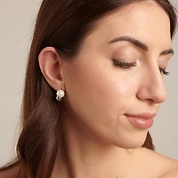 316L steel earrings