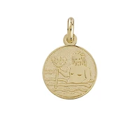 10k gold pendant - Aquarius