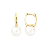 10k yellow gold earrings
