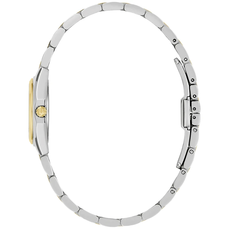 Surveyor 22mm