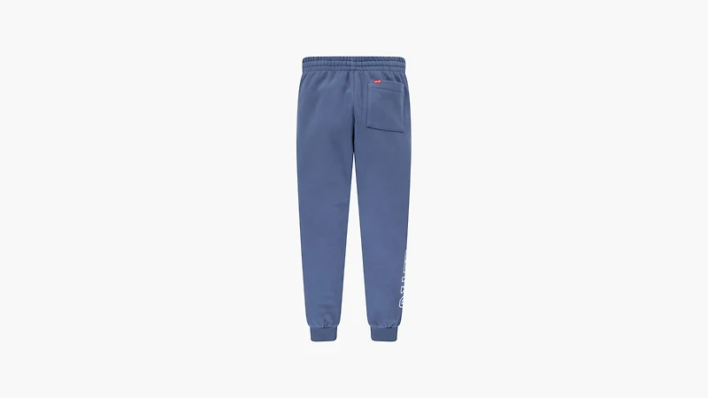Sporty Jogger Pants Big Boys 8-20