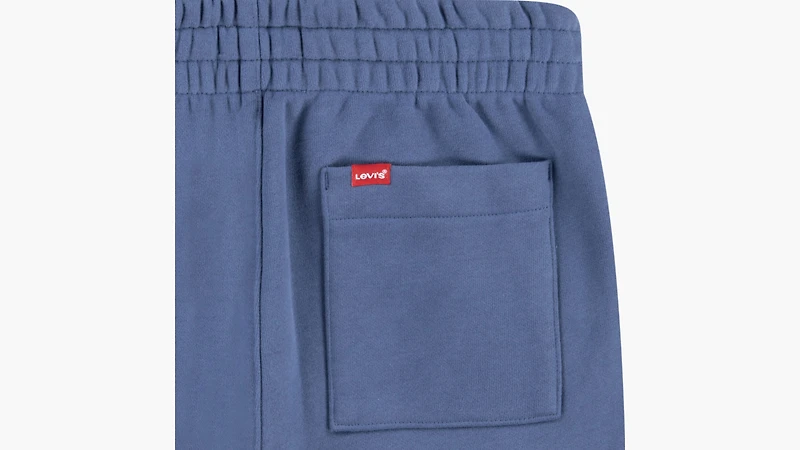 Sporty Jogger Pants Big Boys 8-20