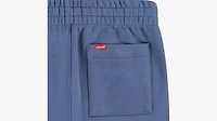 Sporty Jogger Pants Big Boys 8-20