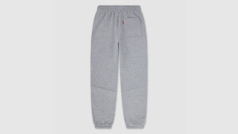 3D Levi's Jogger Big Boys S-XL