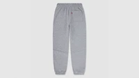 3D Levi's Jogger Big Boys S-XL