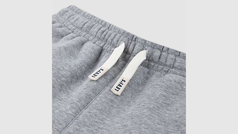 3D Levi's Jogger Big Boys S-XL