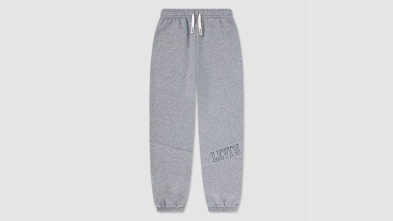 3D Levi's Jogger Big Boys S-XL