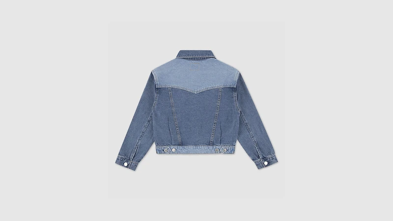 90'S Shrunked Blocked Trucker Big Girls S-XL