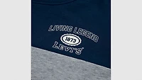Retro Sport Tee Big Boys S-XL