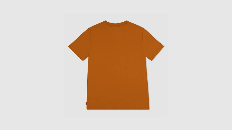 Saddle Up Tee Big Boys S-XL