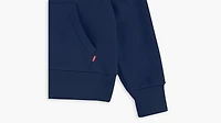 Batwing Screenprint Hoodie Big Boys S-XL