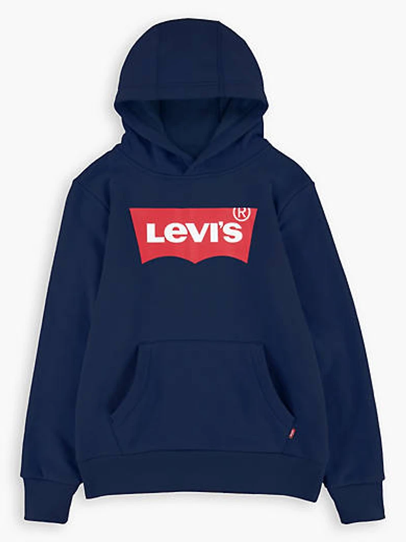 Batwing Screenprint Hoodie Big Boys S-XL