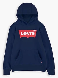 Batwing Screenprint Hoodie Big Boys S-XL