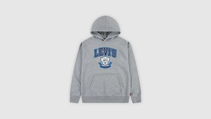 Authentic Prep Hoodie Little Boys 4-6X