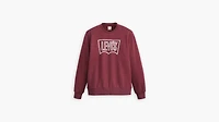 Standard Fit Graphic Crewneck Sweatshirt