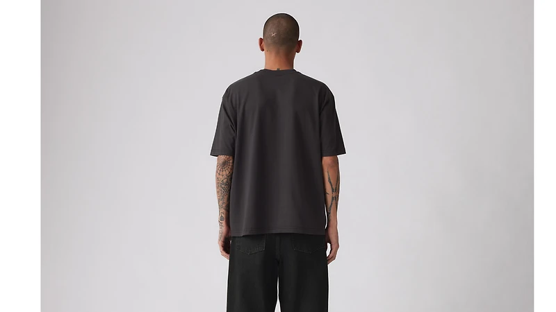 Levi's® Skateboarding Graphic Boxy T-Shirt