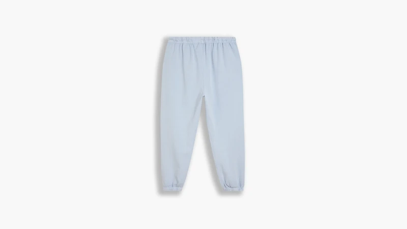 Women's WFH Sweatpants (Plus Size)