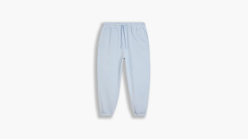 Women's WFH Sweatpants (Plus Size)