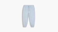 Women's WFH Sweatpants (Plus Size)