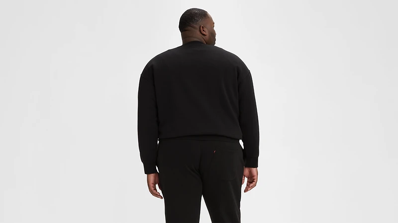 Levi's® Crewneck Sweatshirt (Big)